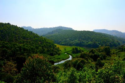 High angle view of trees on mountain against sky