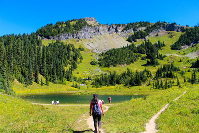 Rear view of women walking in mount reiner 