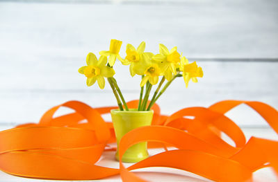 Close-up of yellow flowering plant on table