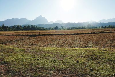Scenic view of field against sky
