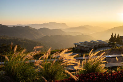 Landscape nature beautiful sunrise on top of thailand mountain