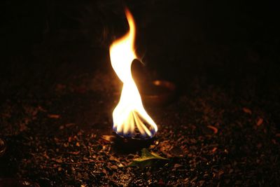 Close-up of bonfire at night