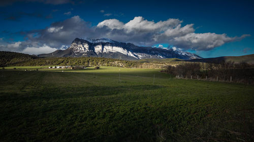 Scenic view of field against sky