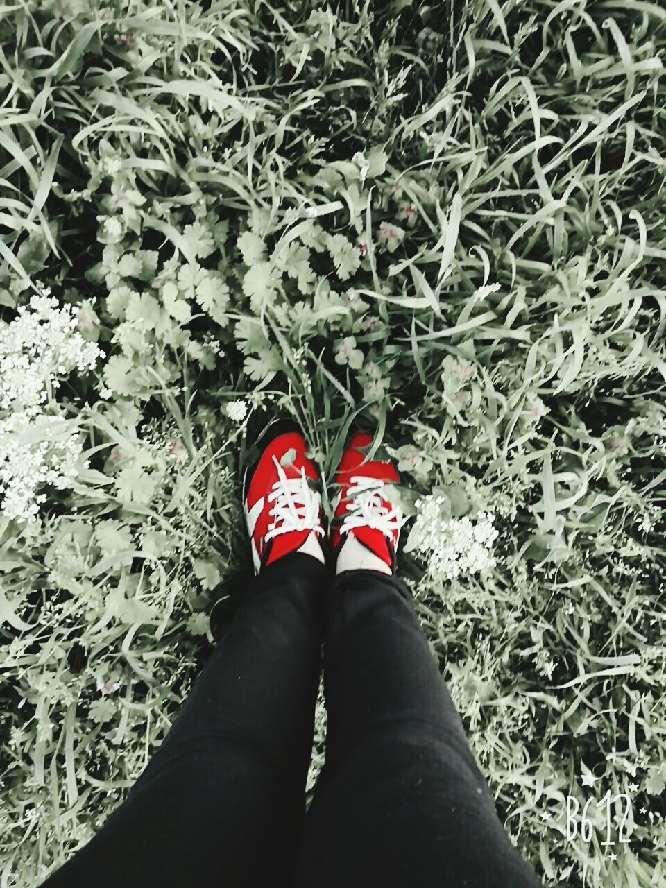 human leg, low section, shoe, human body part, personal perspective, one person, standing, canvas shoe, high angle view, grass, real people, day, growth, lifestyles, leaf, nature, plant, outdoors, people