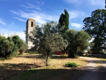 Trees in front of building