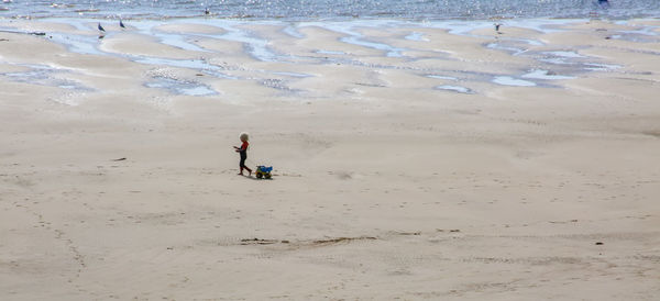 High angle view of people at beach