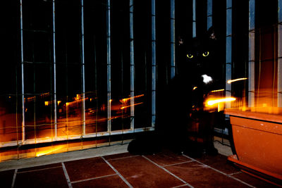 View of illuminated building