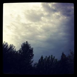 Low angle view of trees against cloudy sky