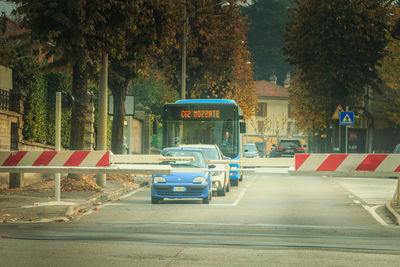 Vehicles on road against trees in city