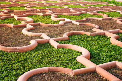 Beautiful ancient garden with green and red plant in jigsaw shape in agra fort ,india