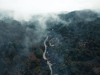 High angle view of trees in city against sky