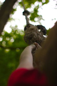 Woman standing on tree trunk