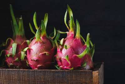 Close-up of wet pitayas on wooden table against black background