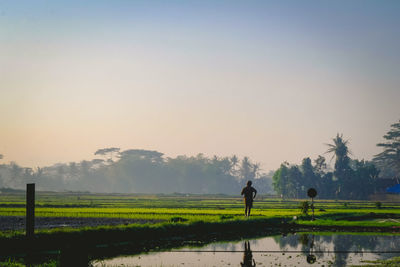 Scenic view of agricultural field against clear sky