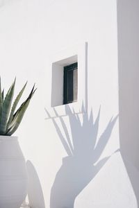 Low angle view of window on building