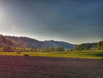 Scenic view of field against sky
