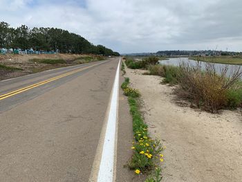 Empty road amidst flowering plants against sky