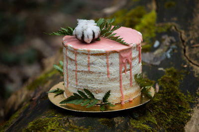 High angle view of cake in plate on retaining wall