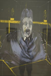 Portrait of horse in glass