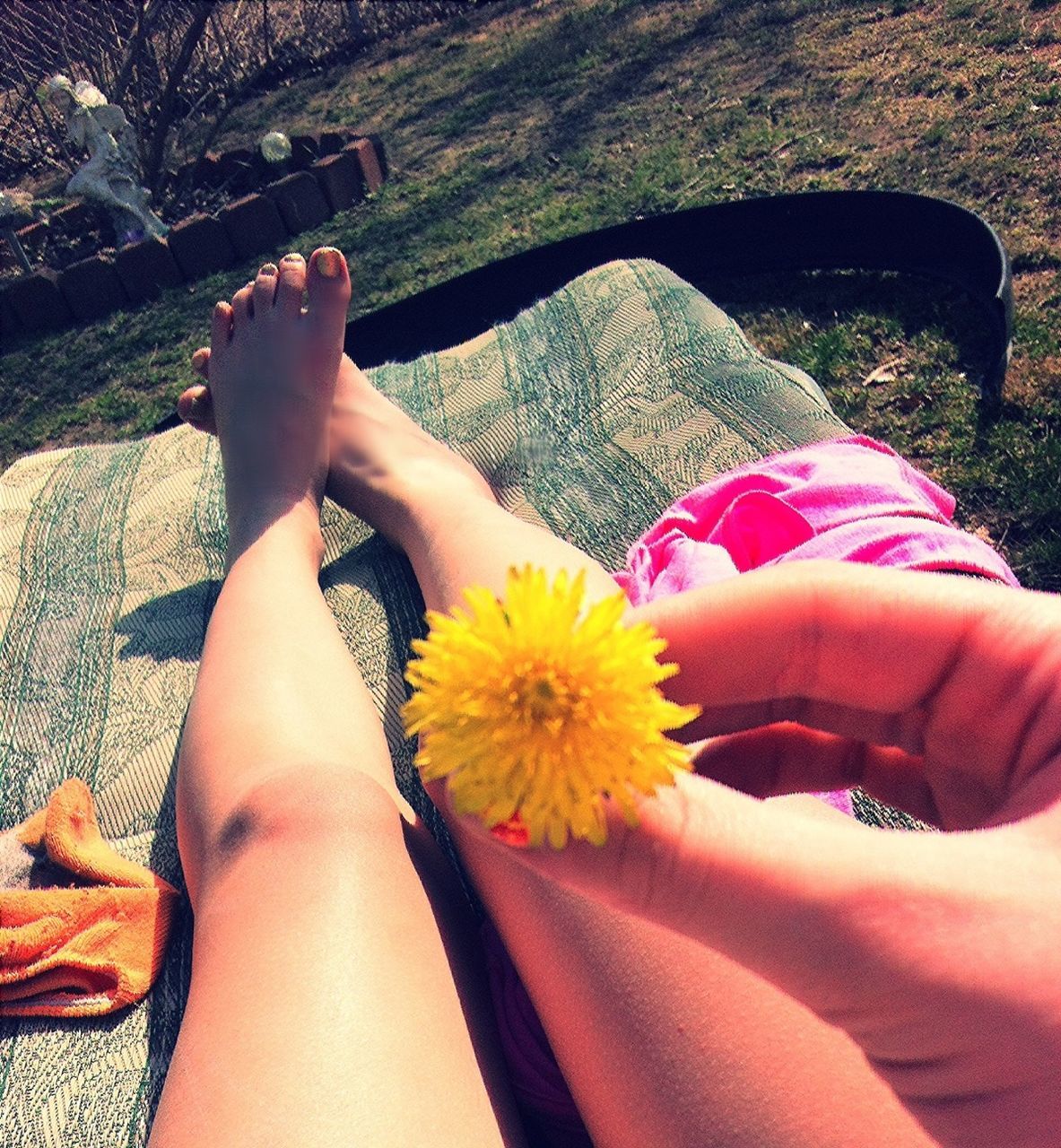 low section, person, flower, personal perspective, lifestyles, leisure activity, part of, human foot, pink color, high angle view, holding, sitting, red, petal, barefoot