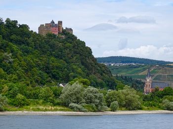 Trees and buildings along the rhine valley against blue sky