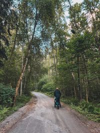 Rear view of man walking on road amidst trees