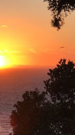 Scenic view of sea against orange sky