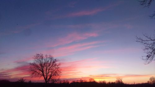 Silhouette bare trees on field against romantic sky at sunset