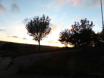 Silhouette trees on field against sky at sunset