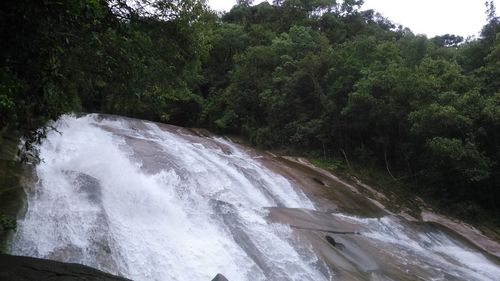 Scenic view of waterfall