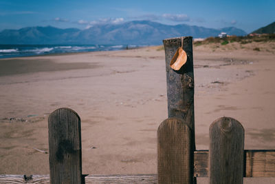 Wooden posts on beach against sky