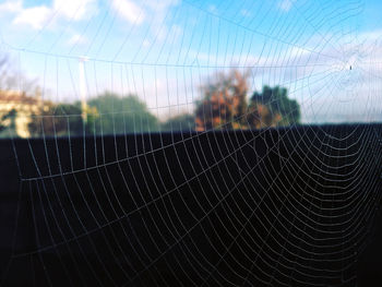 Close-up of spider web on field against sky