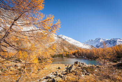 Scenic view of snowcapped mountains against clear sky during autumn