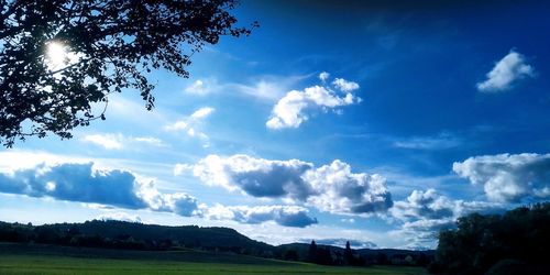 Scenic view of trees on field against sky