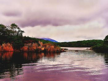 Scenic view of lake by trees against sky