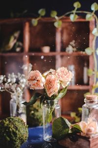 Close-up of potted plant in glass container