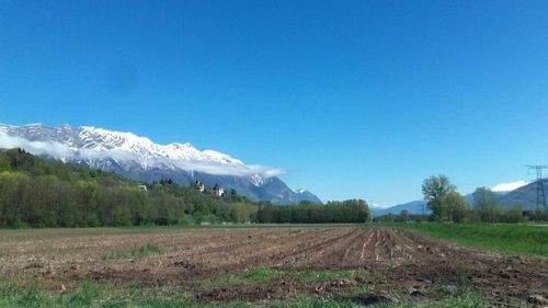 Scenic view of agricultural field against blue sky