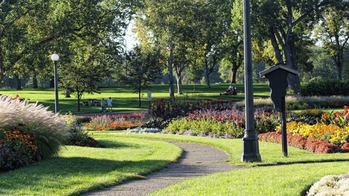 Park in garden