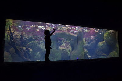 Silhouette woman standing in aquarium
