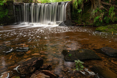 Scenic view of waterfall in forest