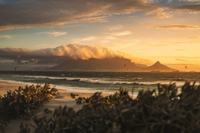 Kitesurfers in front of the famous table mountain in south africa.