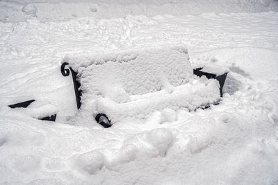 snow