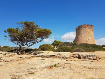 Scenic view of tree against clear blue sky