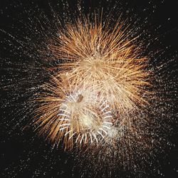 Low angle view of firework display at night