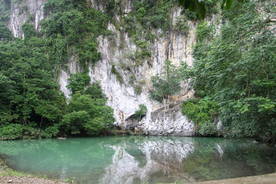 Scenic view of waterfall in forest