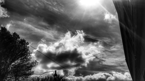 Low angle view of trees against sky