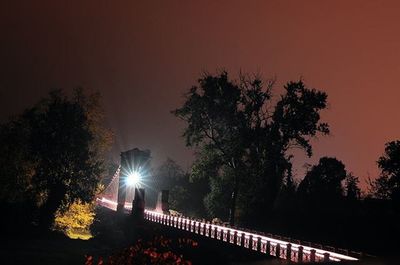 Trees against sky at night