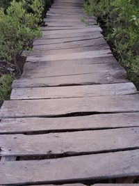 Boardwalk leading towards grass