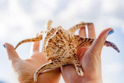 Close-up of hand holding leaf against blurred background