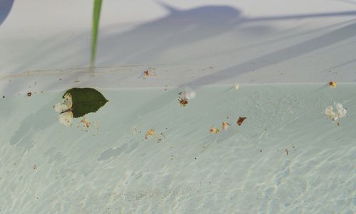 High angle view of shadow on beach